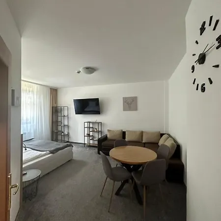 флора 213б Apartmanhotel