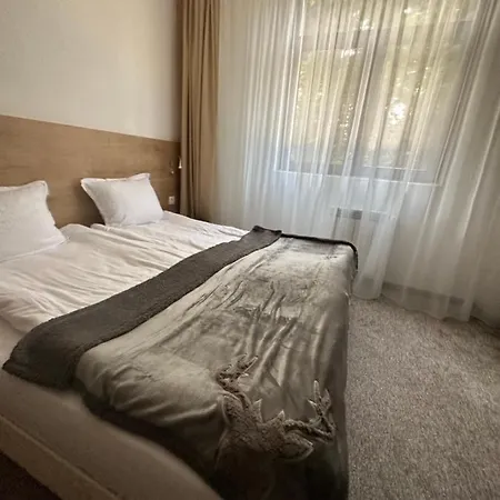флора 213б * Borovec
